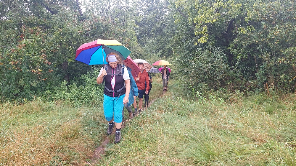 Rundwanderung am 18.08.2024: Wandern und Biergarten am Alpinen Steig 