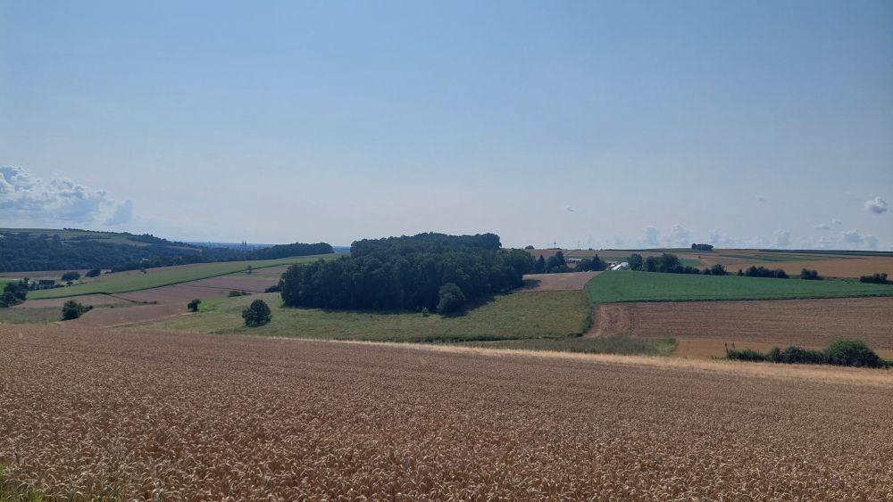 Ankündigung: Wandern und Biergarten am 28.07.2024 - Um den Adlersberg mit Einkehr beim Prösslbräu