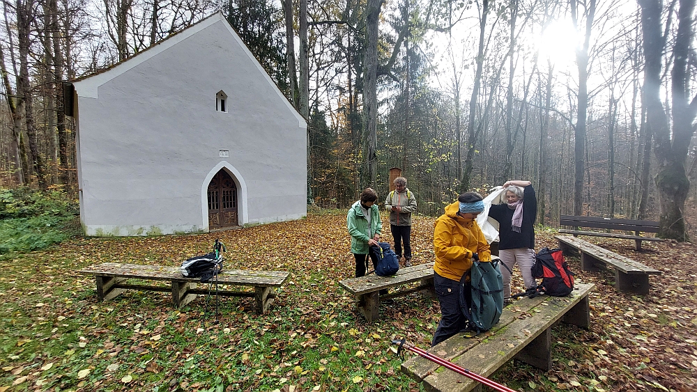 Rundwanderung vom 17.11.2024: Von Bruck zum Waldhaus Einsiedel 
