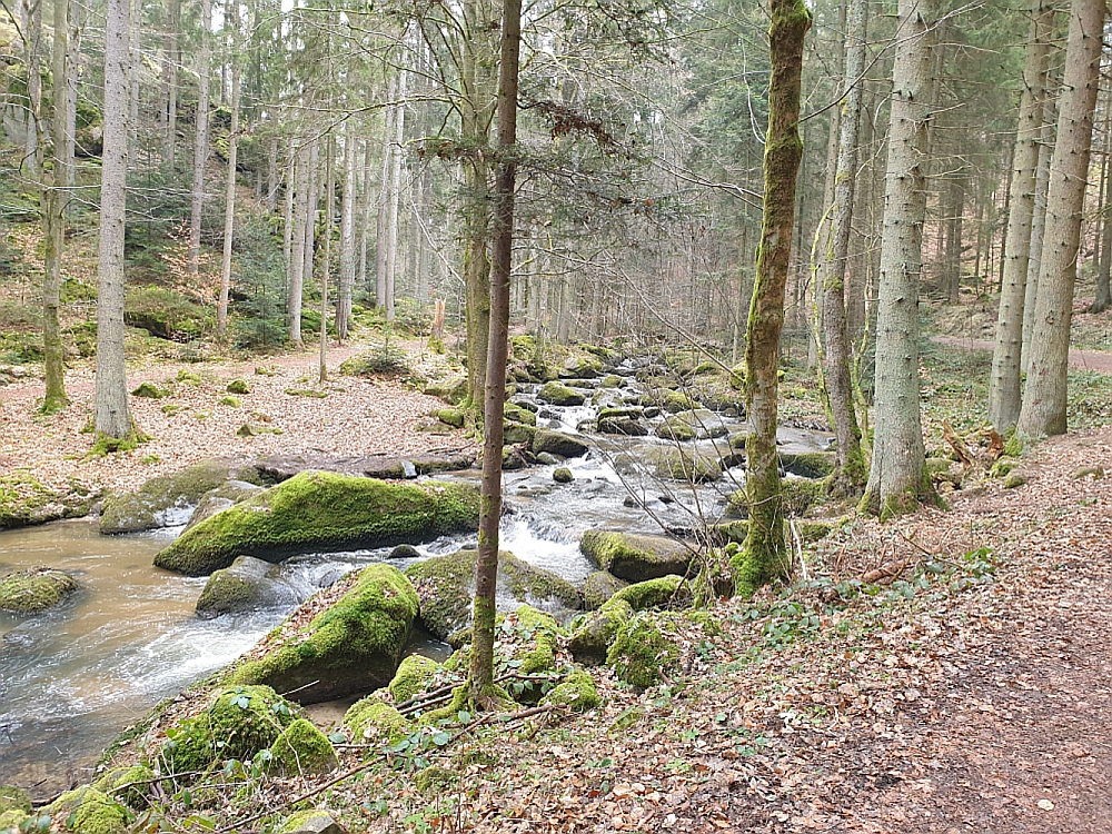 Wanderankündigung für den 16.06.2024: Rundwanderung durch das Otterbachtal