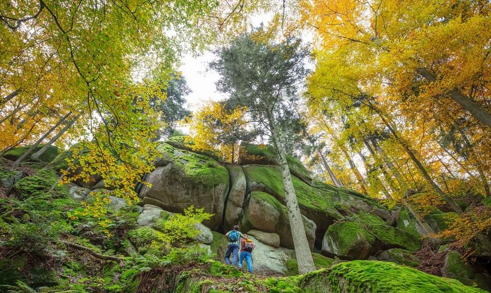 Wanderankündigung für den 20.10.2024: Kolmberger Steinewanderung