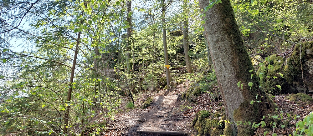 Wandern an der Altmühl von Riedenburg nach Essing am 15.05.2022