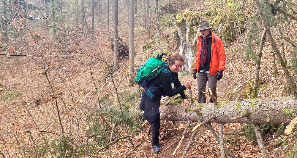 Wandern auf dem Jurasteig von Eilsbrunn nach Pielenhofen am 24.04.2022