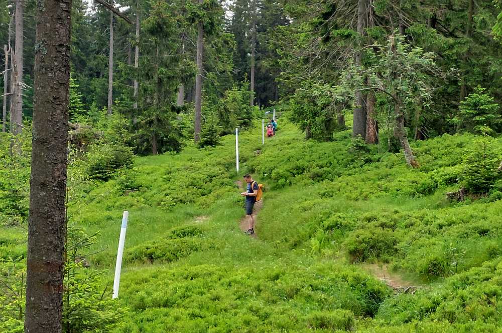 Grenzsteig