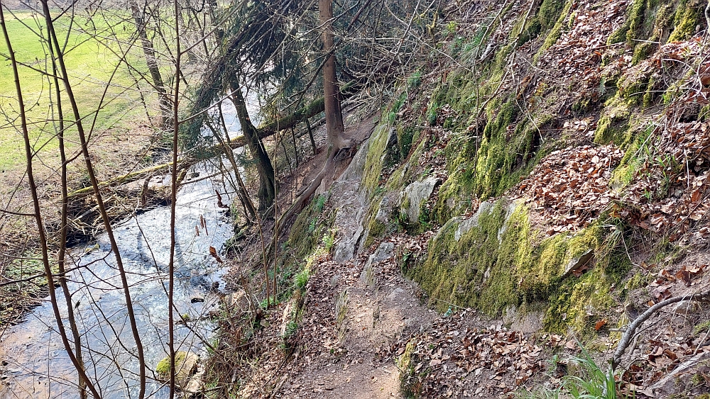 Steilstueck